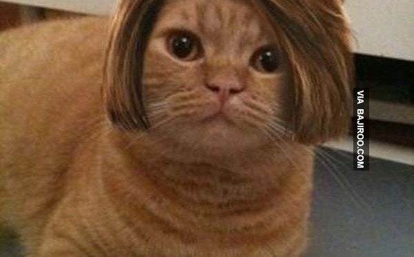 Story of Few Unwanted Hairs