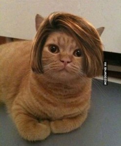 Story of Few Unwanted Hairs