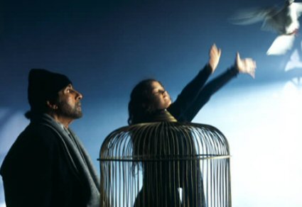  Black is No Miracle Worker