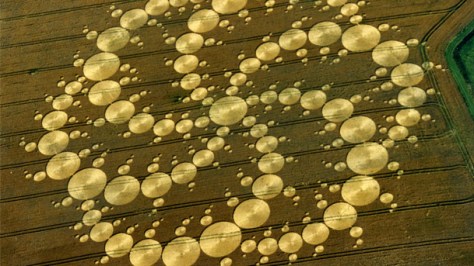 Going Cukoo Over Aliens