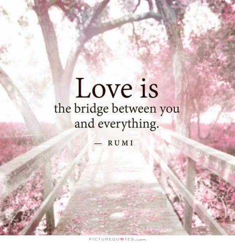 love-is-a-bridge-between-you-and-everything-quote-1